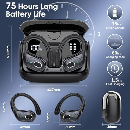 Wireless sport earbuds with earhooks