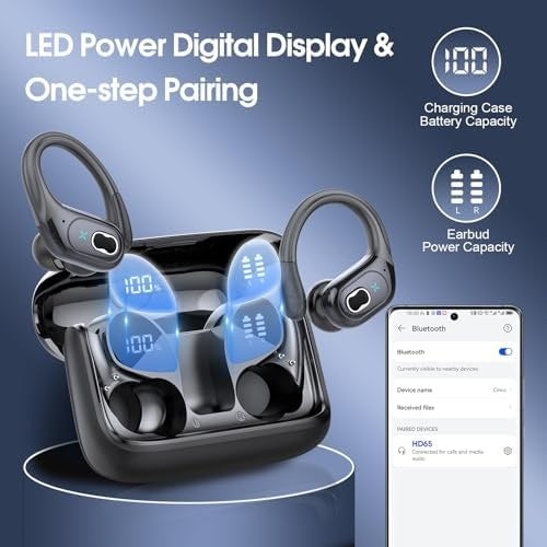 Wireless sport earbuds with earhooks